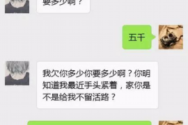 沈丘专业催债公司的市场需求和前景分析